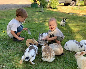 Petting Zoo